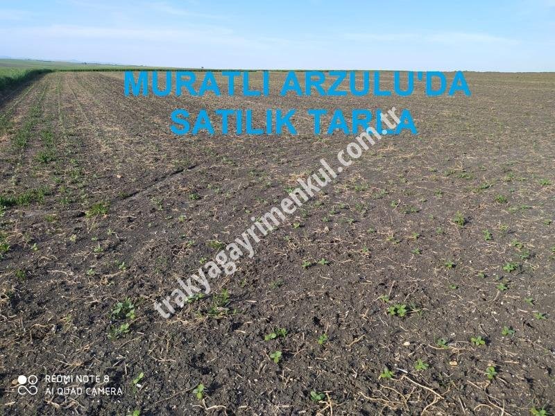 Fotoğraf 1