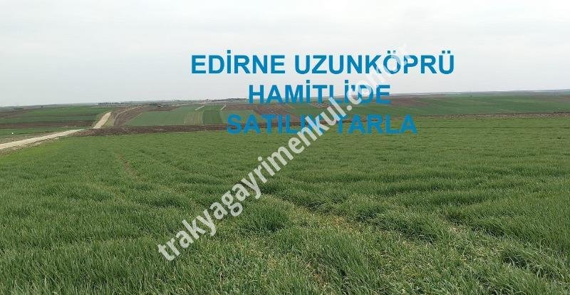 Fotoğraf 1