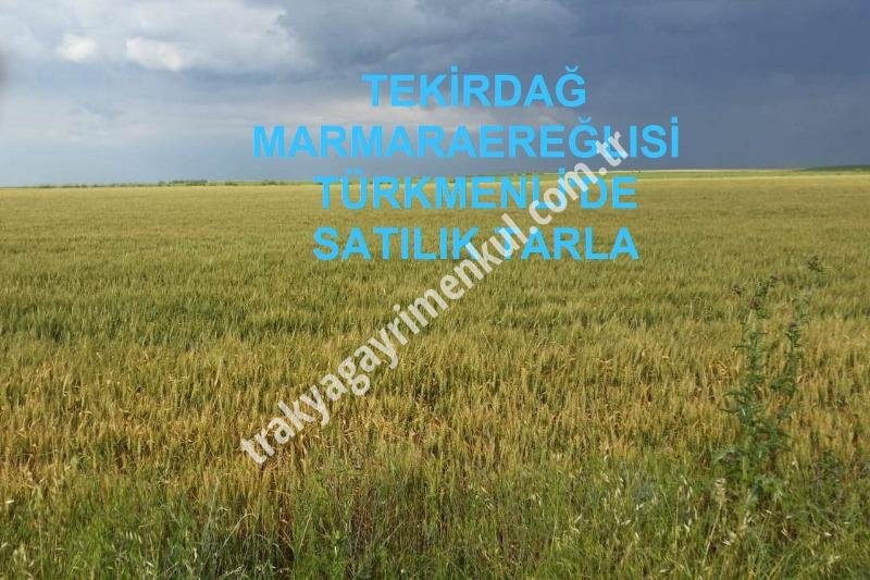 Fotoğraf 1