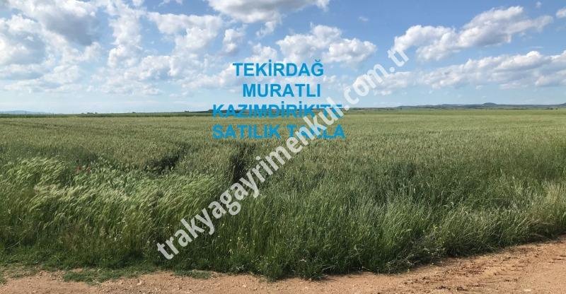 Fotoğraf 1
