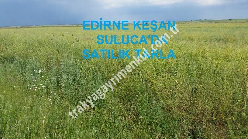 Fotoğraf 1