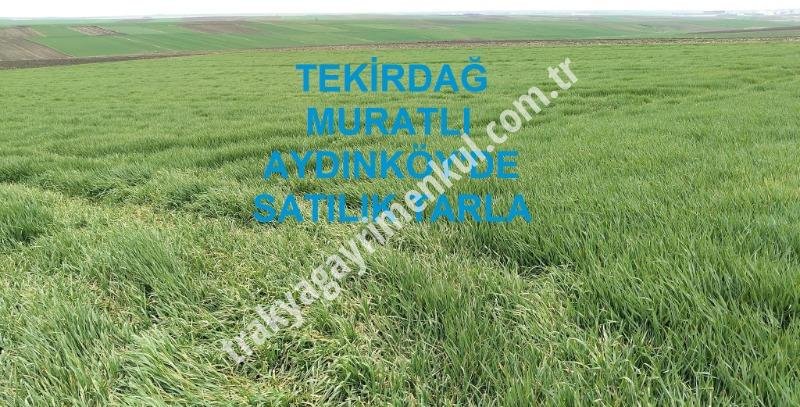 Fotoğraf 1