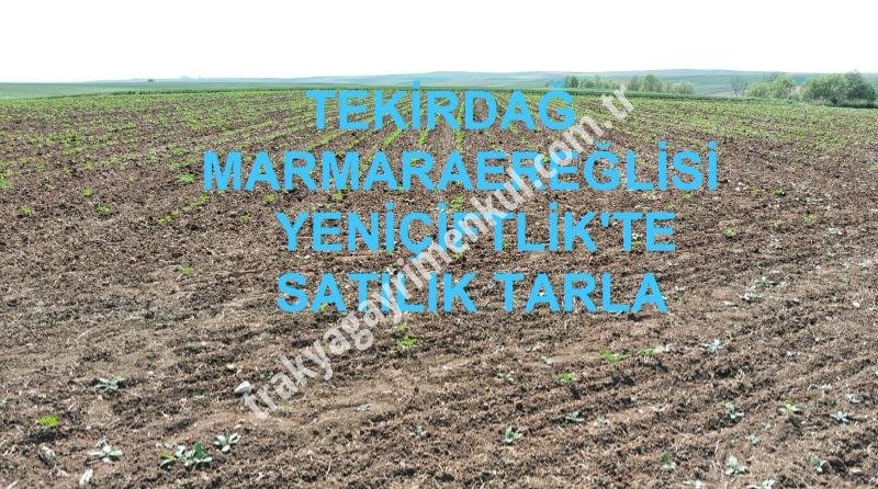 Fotoğraf 1