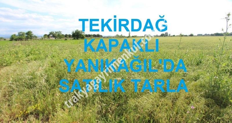 Fotoğraf 1