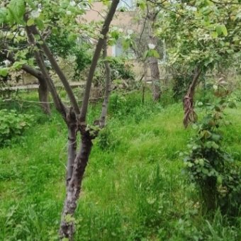 Akçay Altınkum'da Eşyalı Yüksek Giriş Kat Kiralık Daire