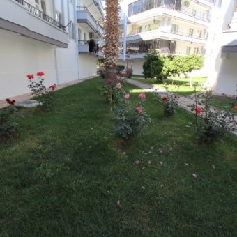 Fotoğraf 51