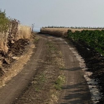 Fotoğraf 12
