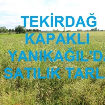 Fotoğraf 1