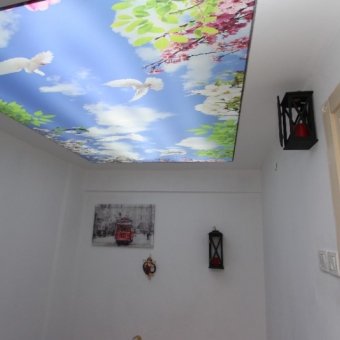 Fotoğraf 16