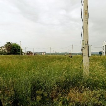REPAL' den Ayvalık Altınova' da Denize Yakın Projeli Satılık İmarlı Arsa.