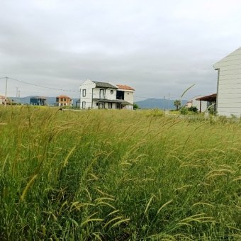 REPAL' den Ayvalık Altınova' da Denize Yakın Projeli Satılık İmarlı Arsa.