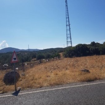 Ayvalık Çakmak Köyünde Yola Cepheli Satılık Tarla.