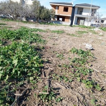 Ayvalık Altınova' da Denize Yakın Konut İmarlı Arsa.