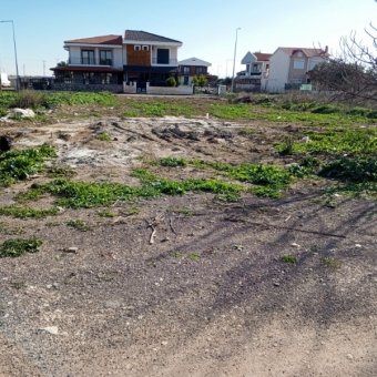 Ayvalık Altınova' da Denize Yakın Konut İmarlı Arsa.