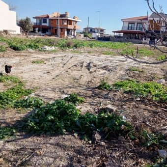 Ayvalık Altınova' da Denize Yakın Konut İmarlı Arsa.