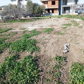 Ayvalık Altınova' da Denize Yakın Konut İmarlı Arsa.