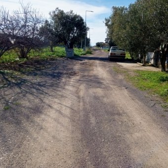 Ayvalık Altınova' da Denize Yakın Konut İmarlı Arsa.