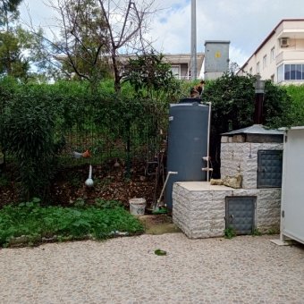 Ayvalık Sarımsaklı Merkezde 2+1 Eşyalı Satılık Daire.