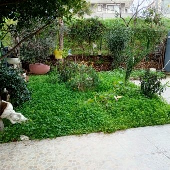 Ayvalık Sarımsaklı Merkezde 2+1 Eşyalı Satılık Daire.