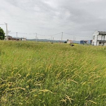 Ayvalık Altınova' da Denize Yakın Projeli Satılık İmarlı Arsa.
