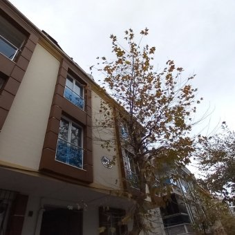 Bahçelievler 2+1 satılık daire